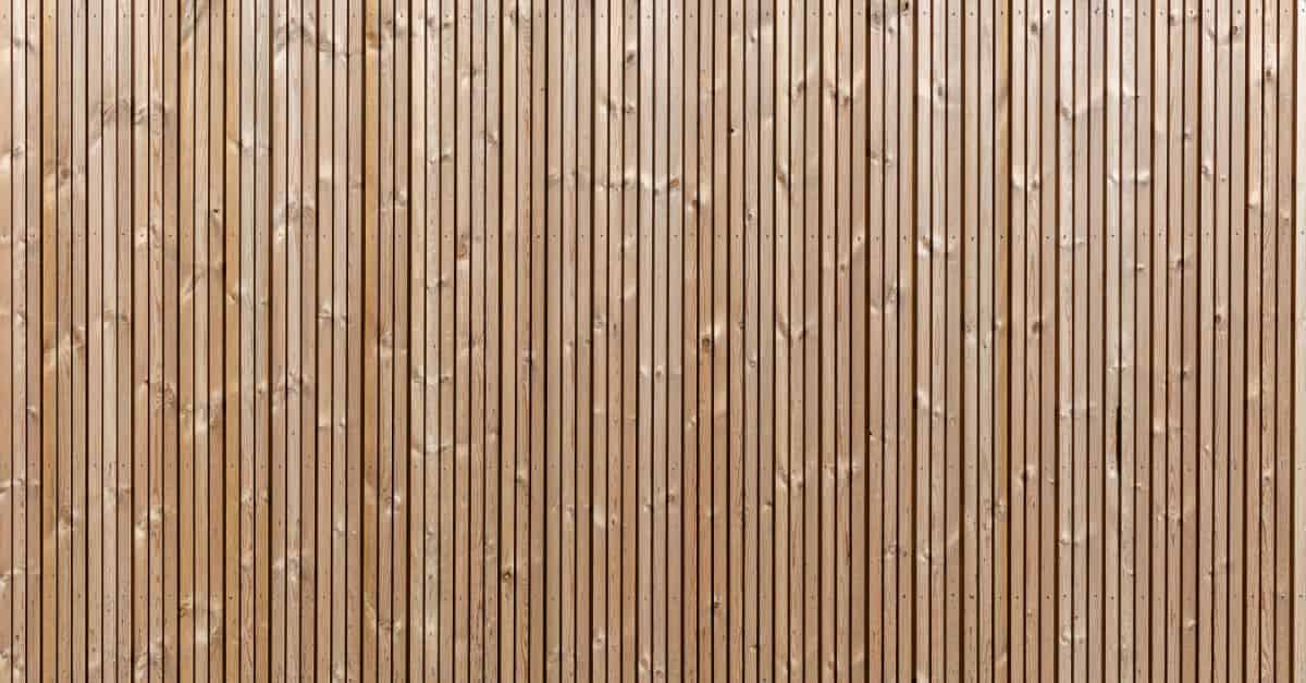 Bamboo Wall