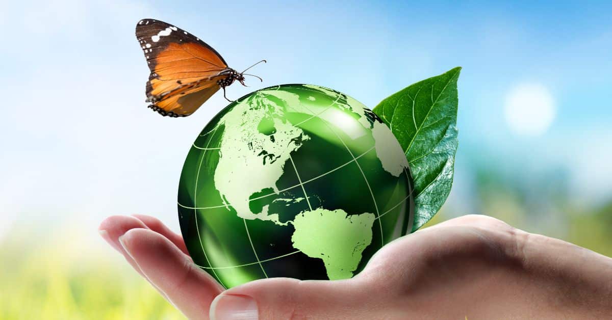 Butterfly on a green earth with a leaf showing eco friendliness 