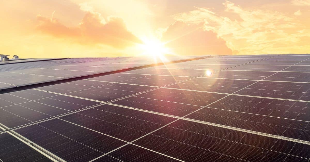 Solar panels capturing sunlight for renewable energy in Cape Town.