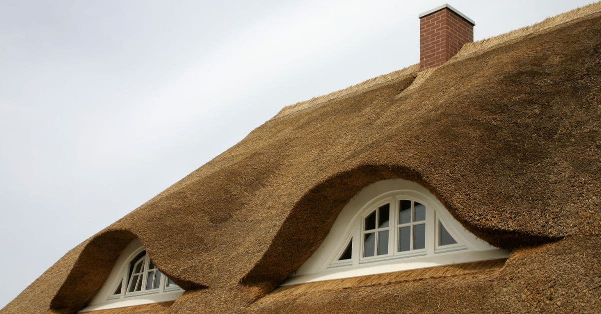 Thatched roof with dormer windows in Cape Town home, showcasing natural roofing materials and crafts.