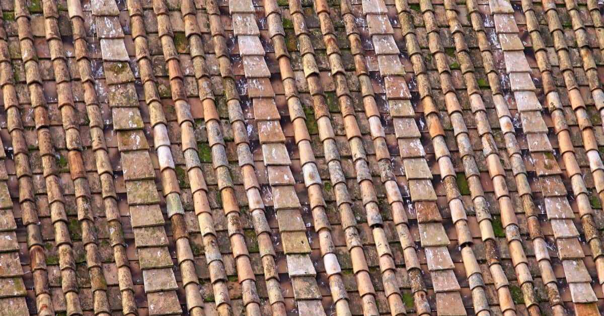 Close-up of weathered clay roof tiles on a Cape Town home.
